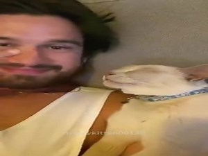 It Turns Out That Many Cats Do This When They Hear A Sneeze  (VIDEO)