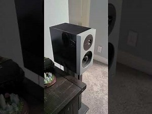 definitive technology D11