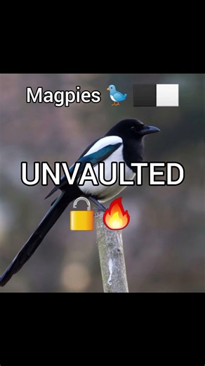 meta breaking update ⁉️ EARTH PATCH 02.06.26 🥳 #earth #memes #fyp