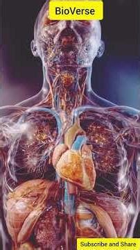 Thyroid Gland Explained | How Thyroid Controls Your Body Metabolism 🦋 | Human Body Facts