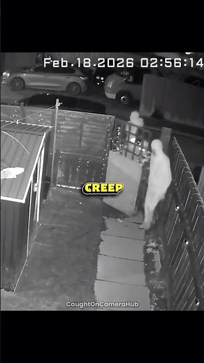 This is Why You NEED a Dog! 🐕