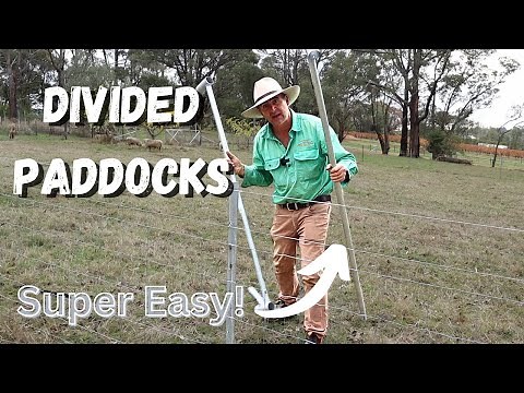 Fast Fence Hack: Divide Paddocks Without the Drama