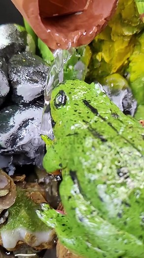 Concrete Frog Fountain Amid Soothing Water Flow 🐸💦 #diy #concrete #fountain | RusticKraft