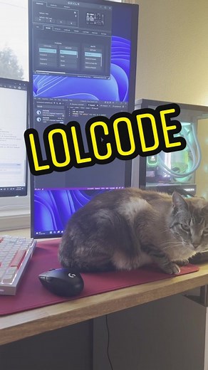 Exploring LOLCODE Programming Language with a Special Guest