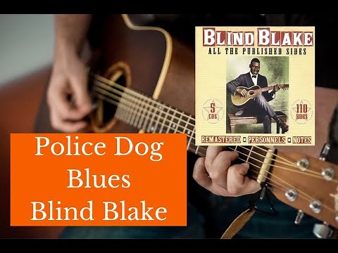 Fingerstyle Ragtime Blues Guitar - Police Dog Blues - Blind Blake