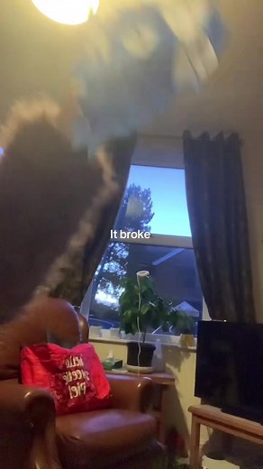 The Magic of Dragon Puppets: A Brief Exploration