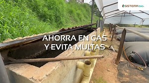 ¿Sabías que puedes convertir los residuos de tu granja en calor 🔥 y fertilizante? 🌱 Con los biodigestores de Sistema.bio, transforma el estiércol de tus animales en biogás para ahorrar en costos de producción y biofertilizante para mejorar los pastos y alimentos de tus animales. | Sistema Biobolsa