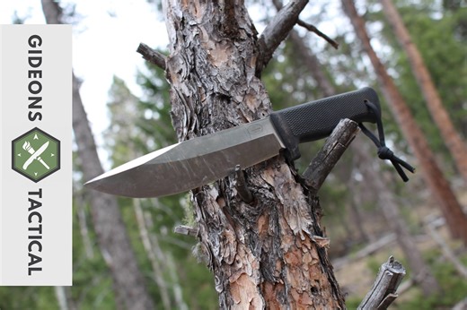 Fallkniven A1: My Favorite Stainless Steel Survival Knife?