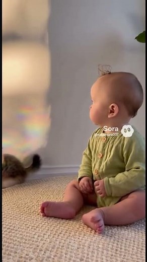 あそびにきた #こねこ #cat #baby #ホームビデオ