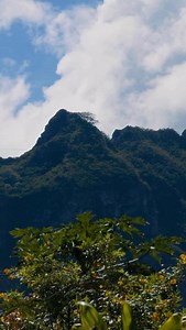 Hone Bailey (Ngāti Tūwharetoa) explains how the traditional Māori practice of weaving is connected to the natural world, and how it carries that indigenous perspective through time. Engaging in the traditional Māori cultural practice of weaving demands a responsibility to uphold that worldview, and the principles that inform it. TUKANGA | Streaming now | Link in bio 🌀🌀🌀 #tereomāori #art #indigenous #culture #teaomāori #toimāori #aotearoa #nz #maori #artist #tikanga #tukanga #toimāori | Mātahi