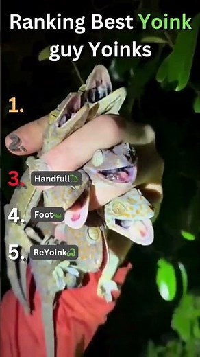 Ranking Yoink guy yoinks.... Subscribe please