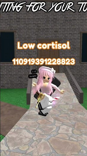 MM2 radio codes