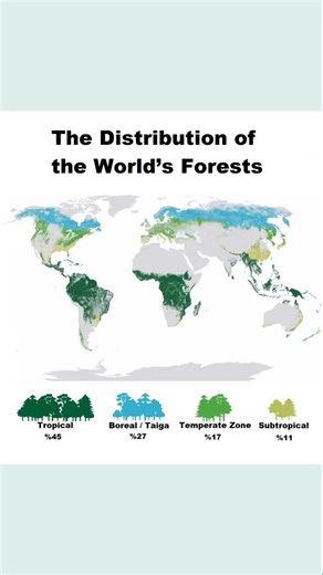 GEOGRAPHY LESSON on Instagram: "The Distribution of the World’s Forests 🌲🌳🌴 In light of the data shown on the map, the proportional distribution of the world’s forests according to climate zones is as follows: Tropical Forests: They constitute the largest share of the world’s forests, accounting for 45%. They cover vast areas around the Equator and are the forests with the highest level of biodiversity. Boreal / Taiga Forests: They cover 27% of the world’s forests. They are located at high la