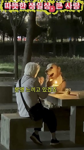 케이크보다 할머니만 바라본 강아지