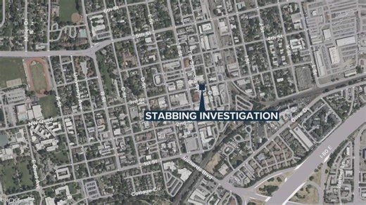 Davis police arrest 20-year-old after downtown stabbing investigation