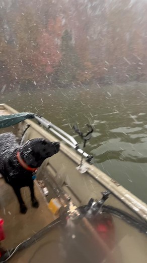 Bill Collins on Reels