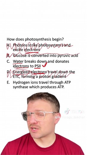 MCQ: Light Dependent Reactions of Photosynthesis