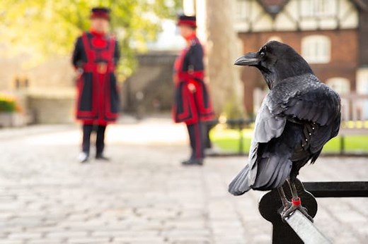 16 things you never knew about London