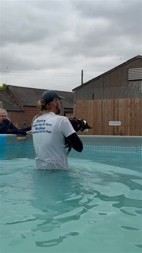 14 week old corgi puppy Mia’s first swimming experience 🐾💦💕🇬🇧 | Canine Dip and Dive Maldon