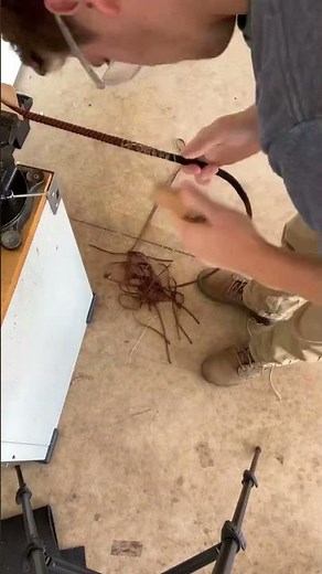 How I make a paracord bullwhip | the first belly. #bullwhip #whip #shorts #whipcracking