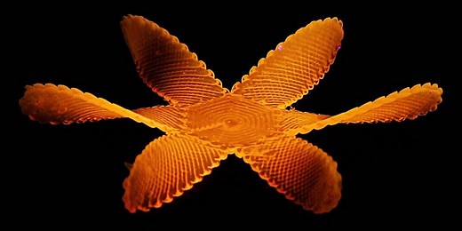 Video Friday: Researchers 3D Print Liquid Crystal Elastomer for Soft Robots