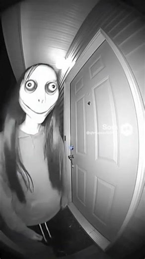 Momo Returns… This Time on My Porch