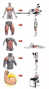 Full Body Workout | Manu Gupta Fitness