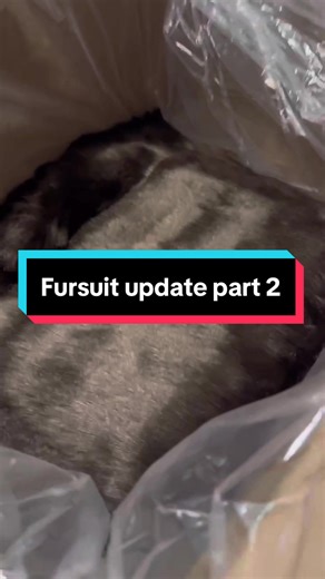 Fursuit Update Before MegaCon Adventure