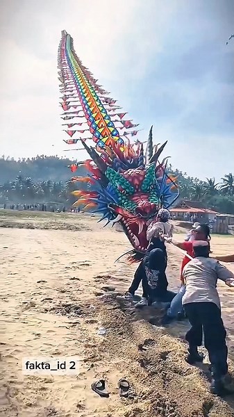 The largest and longest dragon kite in history #festival #kite #dragon #shortvideo