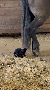 Dusti Gleason on Reels