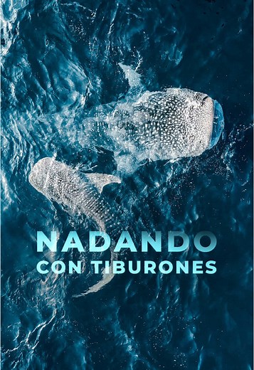 Cinematografía y Aventura: Nadando con Tiburones Ballena