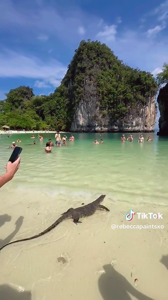 dragon is coming beach 😱👍#fouryou #fpy