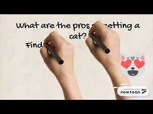 Pros and Cons Definition