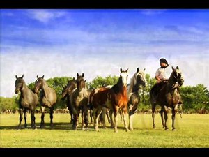 El Cencerro - Alberto Merlo