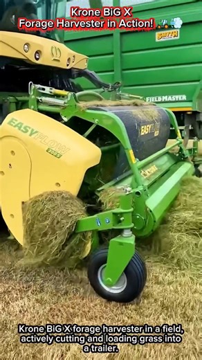Krone BiG X Forage Harvester in Action! 🚜💨