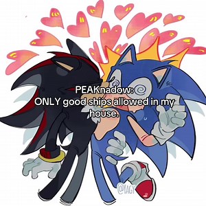Happy pride you gays. #sonicthehedgehog #sonic #sonadow #sonamy #silvaze credits to all the artists these are NOT mine