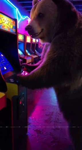 Unbelievable! Gamer Bear Wins Arcade 🐻🕹