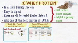 Proteinsstore 5 Most Important Bodybuilding Supplements: When it comes to supplements, it's best to stick with supplements that are supported by science, both in terms of efficacy and safety. Keeping that in mind, below are the five supplements that are most suitable for Bodybuilder. | Proteinsstore