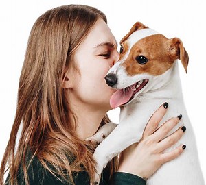 Pet Insurance - Get A Free Quote Online | Petinsurance.com.au Australia