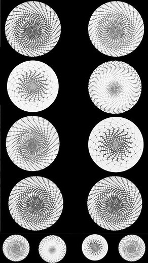 Complete Tutorial: Generating Infinite 3D Rose Windows with Grasshopper Algorithm!