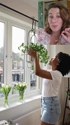 Ajoutez des rideaux sur les côtés avec une tringle placée au-dessus de celle des plantes… franchement, le rendu sera encore plus beau et beaucoup plus chaleureux ✨🌿 Cette idée de suspendre des plantes devant une fenêtre, c’est vraiment canon pour créer un coin vivant et déco, surtout quand on aime les plantes. Et en plus, elles profitent directement de toute la lumière naturelle ☀️ #decointerieur #plantesinterieur #ideedeco #decorationinterieure #deco