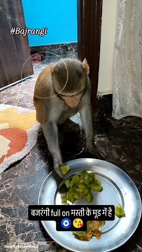 बजरंगी..........🧿🙏🏻#Bajrangi | Gauri Gupta