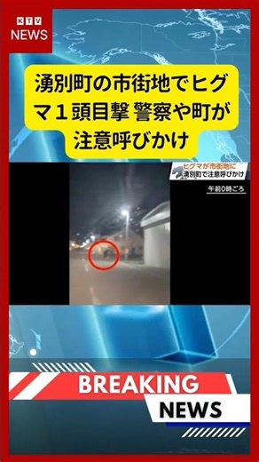(2026年5月8日）-【速報】湧別町の市街地でヒグマ１頭目撃 警察や町が注意呼びかけ | KTV News - 事件・事故 #shorts