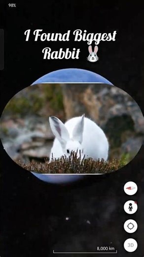I Found Biggest Rabbit 🐰 On Google Earth Map 🗺️ #shorts #short