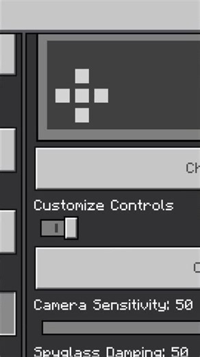 f5 camera button minecraft #shorts