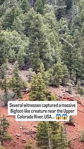1K views · 1.5K reactions | Bigfoot spotted in Colorado!  | Slapped Ham | Facebook