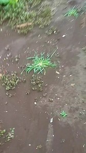 Learning from mistakes is a valuable process that helps us grow and improve. Some benefits of learning from mistakes include: Personal growth: Embracing mistakes as opportunities for growth fosters resilience and self-awareness. Improved decision-making: Analyzing mistakes helps us identify patterns and make better decisions in the future. Innovation: Mistakes can lead to new ideas and innovative solutions. Risk management: Understanding what went wrong helps us mitigate risks and develop contin