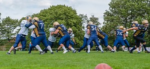 Team Tension among DISC Styles | Athlete Assessments