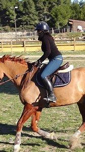 42 exercices de saut d'obstacles ⤵️ https://sio.terredesportequestre.com/cso #CSO #cheval #equitation #jumping #equestrian #horse #TDSE | Terre de Sport Equestre