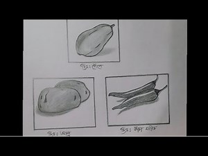 SSC Home science practical (part -03) step by step drawing tutorial...